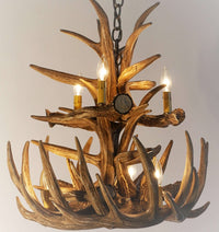 Whitetail Deer 12 Large Antler Chandelier - Ozark Cabin Décor, LLC