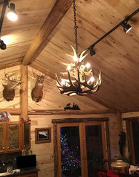 Whitetail Deer 12 Large Antler Chandelier - Ozark Cabin Décor, LLC