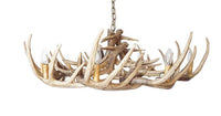 Whitetail Deer 15 Wide Antler Chandelier - Ozark Cabin Décor, LLC