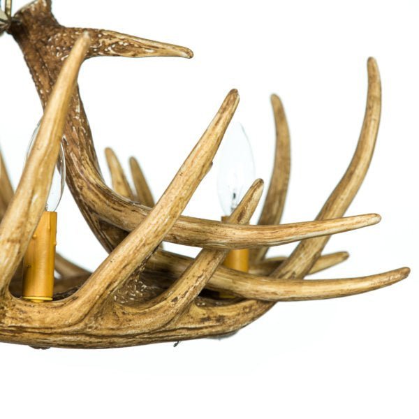 Whitetail Deer 6 Antler Chandelier - Thumbnail 4