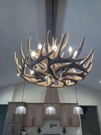 Whitetail Deer 15 Antler Chandelier - Ozark Cabin Décor, LLC