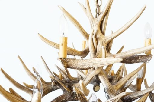 Whitetail Deer 15 Antler Chandelier - Ozark Cabin Décor, LLC