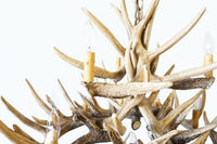 Whitetail Deer 15 Antler Chandelier - Ozark Cabin Décor, LLC