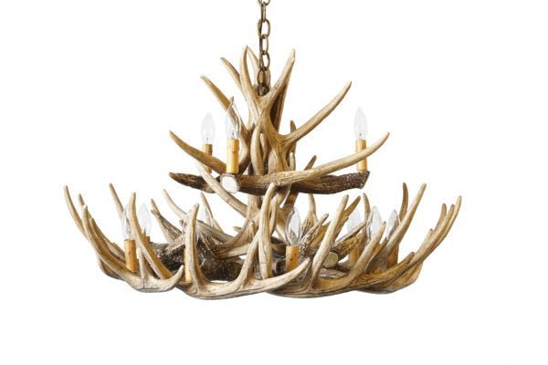 Whitetail Deer 15 Antler Chandelier