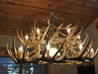 Whitetail Deer 24 Antler Chandelier - Ozark Cabin Décor, LLC